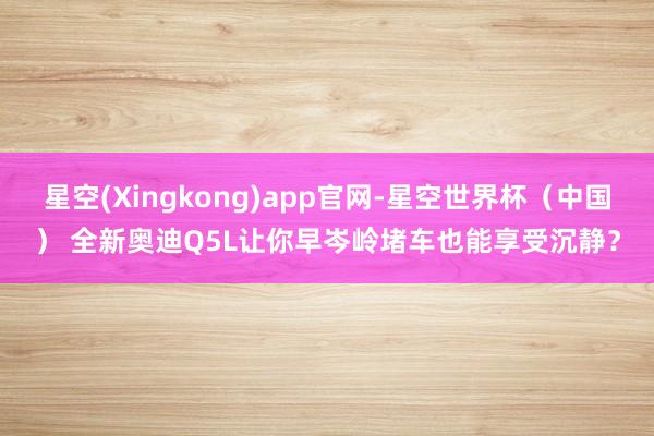 星空(Xingkong)app官网-星空世界杯(中国) 全新奥迪Q5L让你早岑岭堵车也能享受沉静?