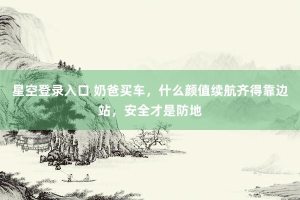 星空登录入口 奶爸买车,什么颜值续航齐得靠边站,安全才是防地