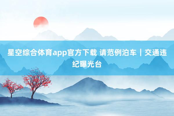 星空综合体育app官方下载 请范例泊车|交通违纪曝光台