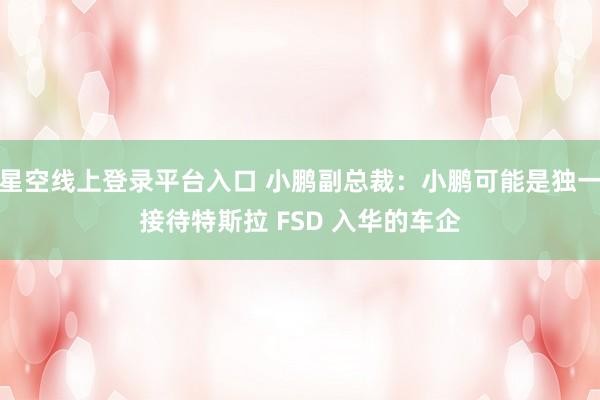 星空线上登录平台入口 小鹏副总裁:小鹏可能是独一接待特斯拉 FSD 入华的车企