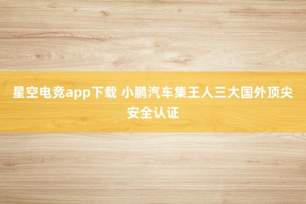 星空电竞app下载 小鹏汽车集王人三大国外顶尖安全认证