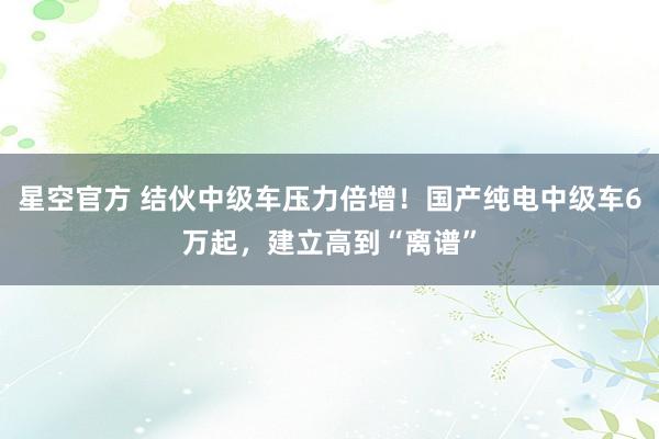 星空官方 结伙中级车压力倍增!国产纯电中级车6万起,建立高到“离谱”