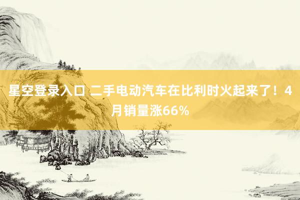 星空登录入口 二手电动汽车在比利时火起来了！4月销量涨66%