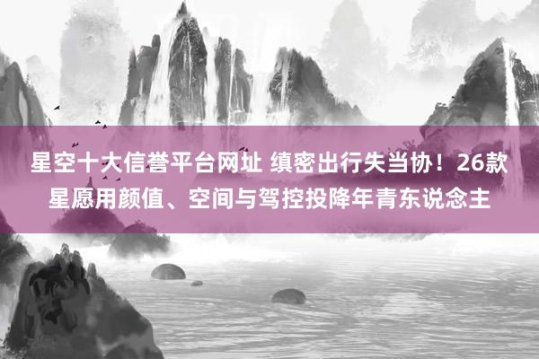 星空十大信誉平台网址 缜密出行失当协!26款星愿用颜值、空间与驾控投降年青东说念主