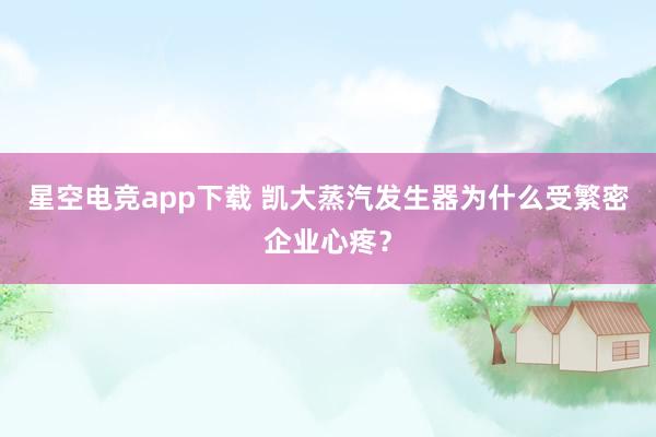星空电竞app下载 凯大蒸汽发生器为什么受繁密企业心疼?