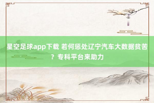 星空足球app下载 若何惩处辽宁汽车大数据贫苦?专科平台来助力