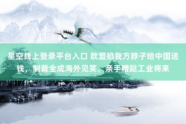 星空线上登录平台入口 欧盟掐我方脖子给中国送钱，制裁全成海外见笑，亲手糟跶工业将来