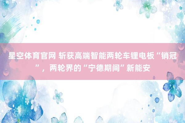 星空体育官网 斩获高端智能两轮车锂电板“销冠”,两轮界的“宁德期间”新能安