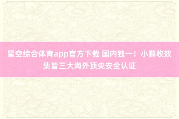 星空综合体育app官方下载 国内独一!小鹏收效集皆三大海外顶尖安全认证