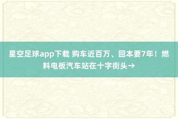 星空足球app下载 购车近百万、回本要7年!燃料电板汽车站在十字街头→
