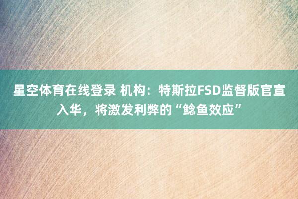 星空体育在线登录 机构：特斯拉FSD监督版官宣入华，将激发利弊的“鲶鱼效应”