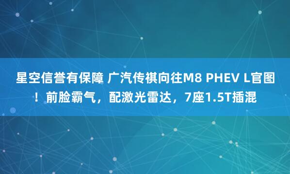星空信誉有保障 广汽传祺向往M8 PHEV L官图!前脸霸气,配激光雷达,7座1.5T插混
