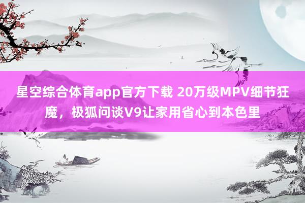 星空综合体育app官方下载 20万级MPV细节狂魔,极狐问谈V9让家用省心到本色里