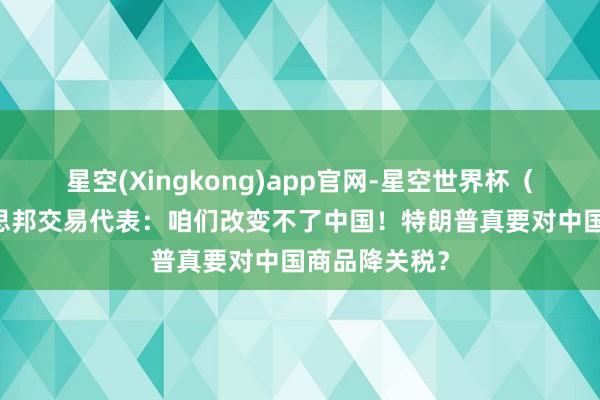 星空(Xingkong)app官网-星空世界杯(中国) 好意思邦交易代表:咱们改变不了中国!特朗普真要对中国商品降关税?