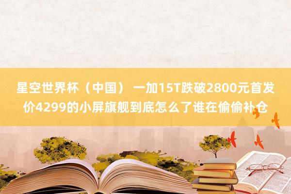 星空世界杯(中国) 一加15T跌破2800元首发价4299的小屏旗舰到底怎么了谁在偷偷补仓