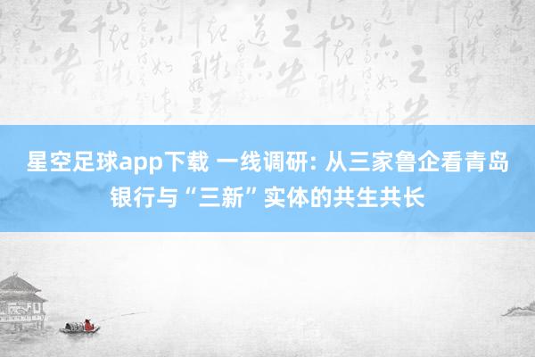 星空足球app下载 一线调研: 从三家鲁企看青岛银行与“三新”实体的共生共长