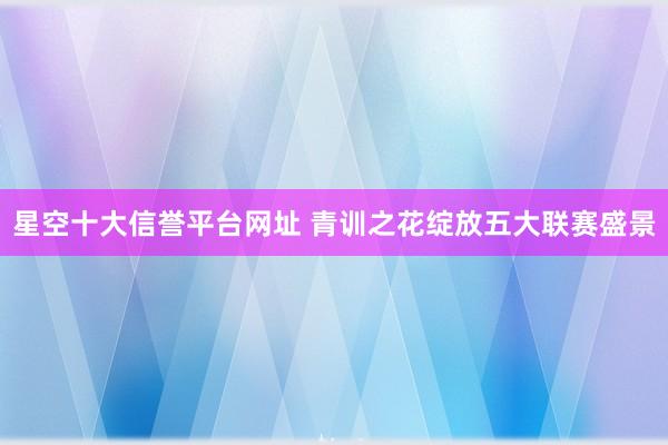 星空十大信誉平台网址 青训之花绽放五大联赛盛景