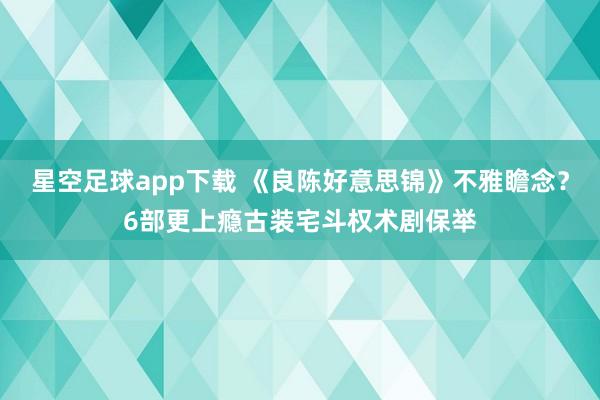 星空足球app下载 《良陈好意思锦》不雅瞻念?6部更上瘾古装宅斗权术剧保举